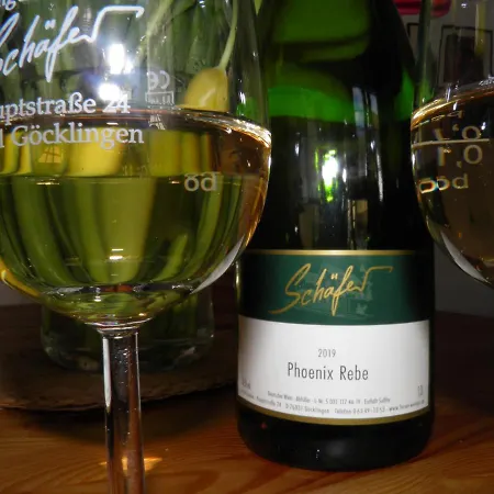 Weingut-ferienhof Schäfer Apartment *