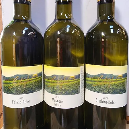 Apartamento Ferienweingut Schaefer