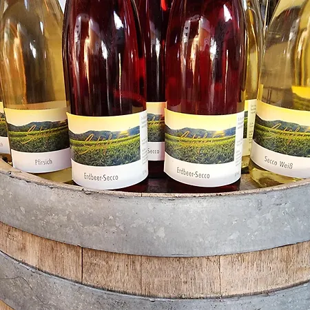 Ferienweingut Schaefer Apartamento