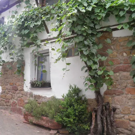 Ferienweingut Schaefer شقة Gocklingen