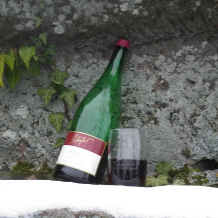 Weingut-ferienhof Schäfer Gocklingen