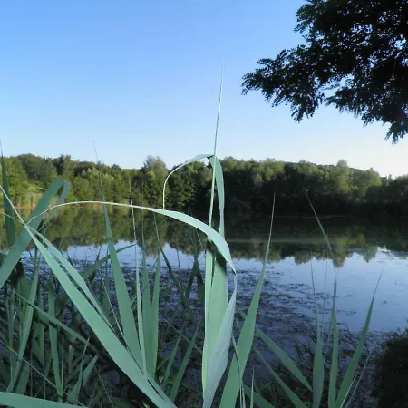 شقة Ferienweingut Schaefer *