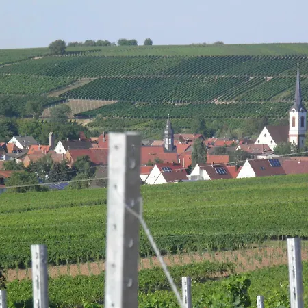 Ferienweingut Schaefer