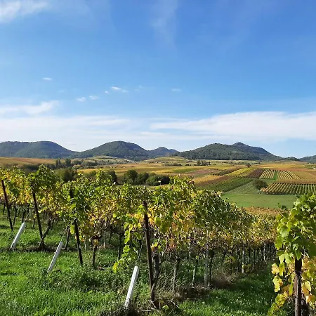 Apartamento Ferienweingut Schaefer *