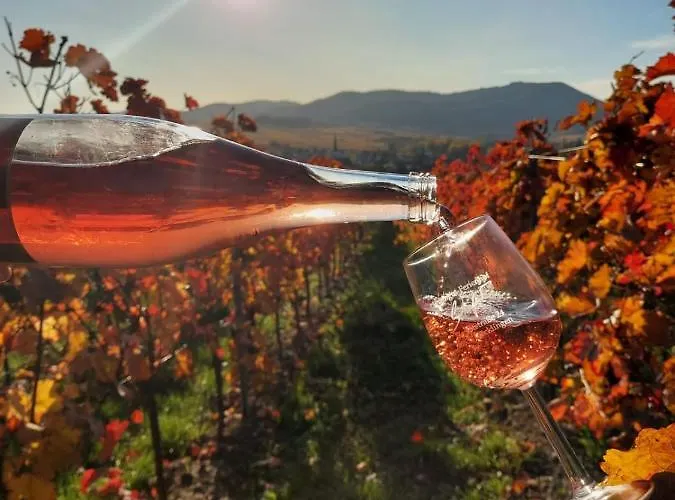 Apartamento Ferienweingut Schaefer *