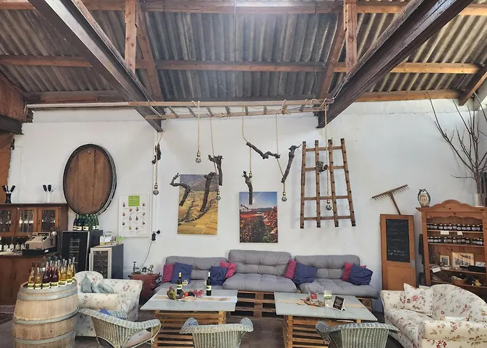 Ferienweingut Schaefer Gocklingen