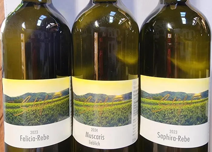 Apartamento Ferienweingut Schaefer