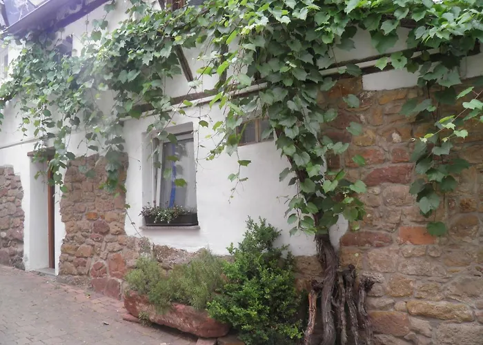 Ferienweingut Schaefer Apartamento Gocklingen