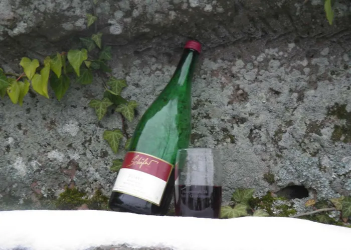 Ferienweingut Schaefer Gocklingen