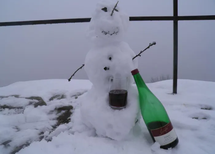 Ferienweingut Schaefer Apartamento Gocklingen