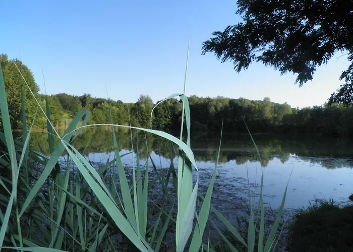 Apartamento Ferienweingut Schaefer *