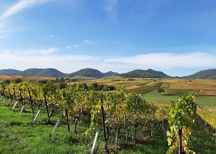 Apartamento Ferienweingut Schaefer *